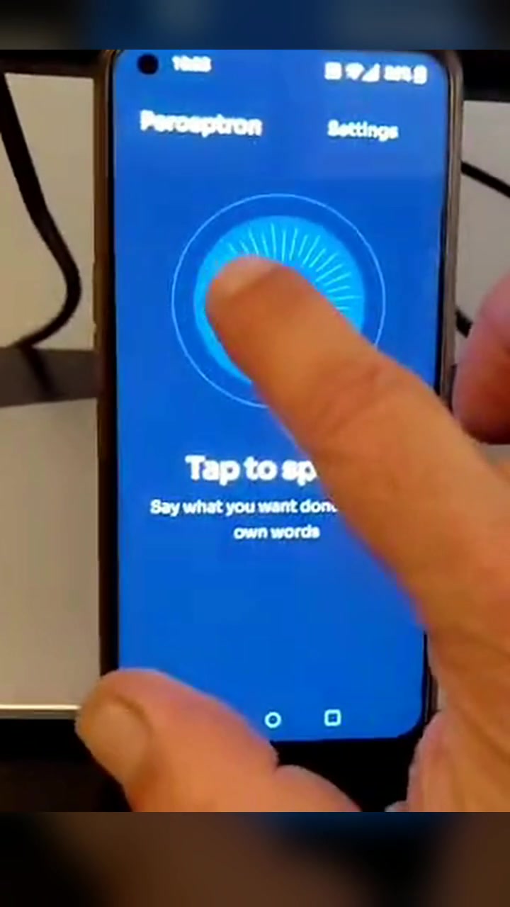Frame from the supplied Perceptron Phone demonstration on an Android device